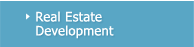 Real Estate Development